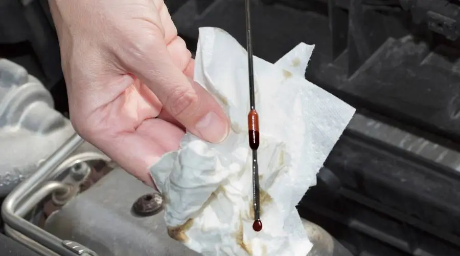 Engine oil dipstick comparison showing new clean oil versus contaminated oil needing replacement