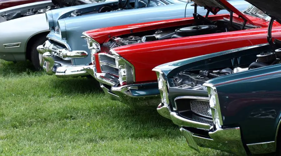 Classic cars with hoods open on grass display